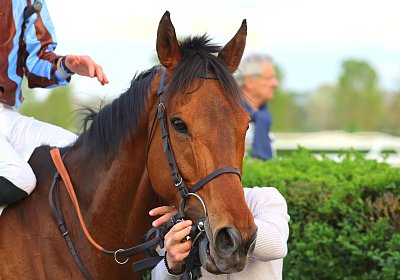 Strassburg 2026 04 18 9N1A4572 Almi