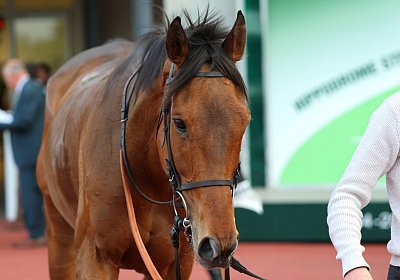 Strassburg 2026 04 18 9N1A4600 Almi