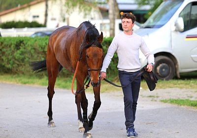 Strassburg 2026 04 18 9N1A4631 Almi