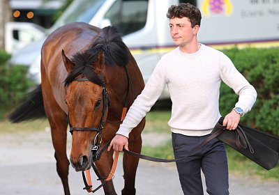 Strassburg 2026 04 18 9N1A4638 Almi