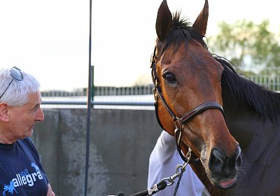 Strassburg 2026 04 18 9N1A4673 Almi