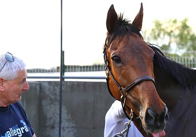 Strassburg 2026 04 18 9N1A4674 Almi