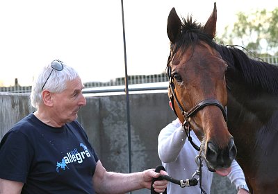 Strassburg 2026 04 18 9N1A4676 Almi