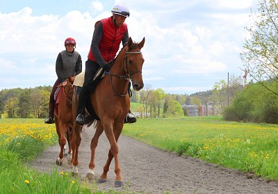 Landihof 2026 04 19 9N1A4832 Krakan