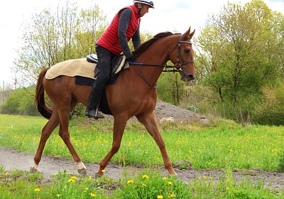 Landihof 2026 04 19 9N1A4855 Krakan