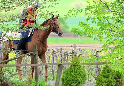 Landihof 2026 04 19 9N1A5014 Krakan