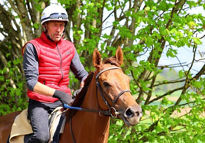 Landihof 2026 04 19 9N1A5129 Krakan