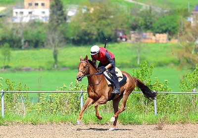 Landihof 2026 04 19 9N1A5452 Krakan