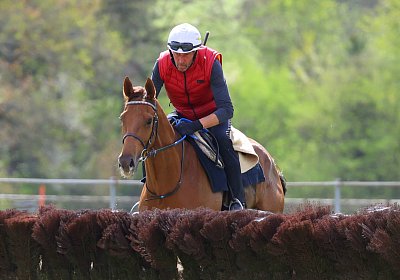 Landihof 2026 04 19 9N1A6043 Krakan