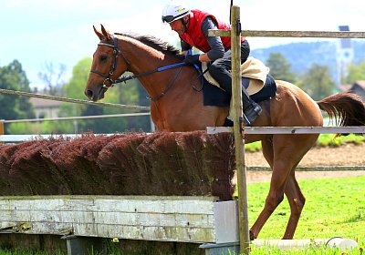 Landihof 2026 04 19 9N1A6082 Krakan