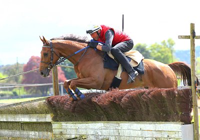 Landihof 2026 04 19 9N1A6084 Krakan