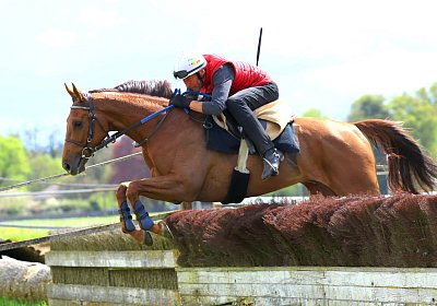 Landihof 2026 04 19 9N1A6085 Krakan