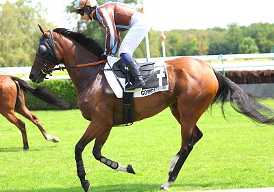 Compiegne 2026 07 10 9N1A7550 Yes Zara