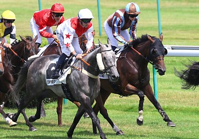 Compiegne 2026 07 10 9N1A7592 Yes Zara