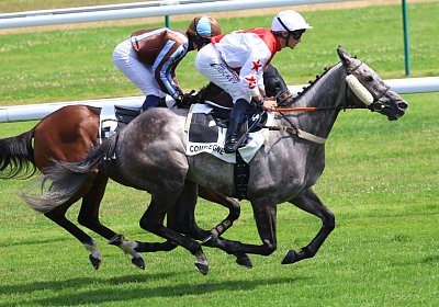 Compiegne 2026 07 10 9N1A7621 Yes Zara