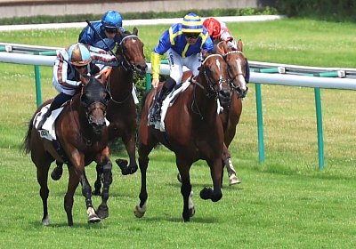 Compiegne 2026 07 10 9N1A7674 Yes Zara