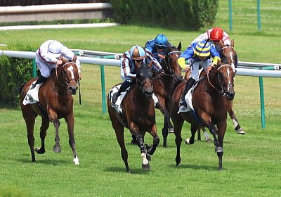 Compiegne 2026 07 10 9N1A7685 Yes Zara