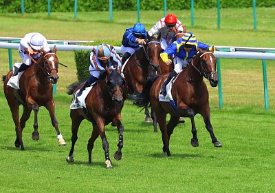 Compiegne 2026 07 10 9N1A7702 Yes Zara