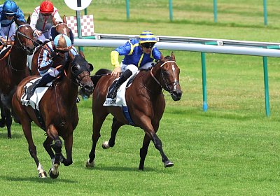 Compiegne 2026 07 10 9N1A7724 Yes Zara