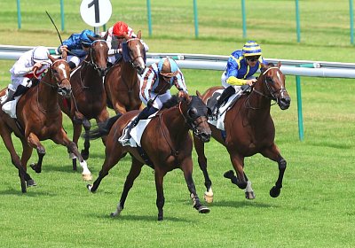 Compiegne 2026 07 10 9N1A7727 Yes Zara