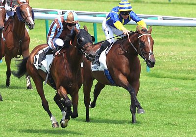 Compiegne 2026 07 10 9N1A7730 Yes Zara