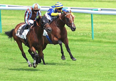 Compiegne 2026 07 10 9N1A7736 Yes Zara