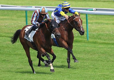 Compiegne 2026 07 10 9N1A7737 Yes Zara