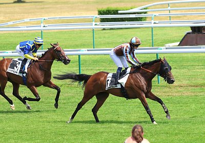 Compiegne 2026 07 10 9N1A7796 Yes Zara