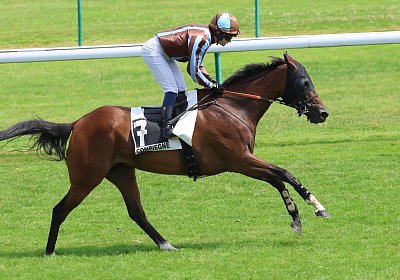 Compiegne 2026 07 10 9N1A7809 Yes Zara