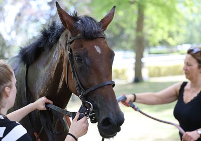 Compiegne 2026 07 10 B 9N1A7831 Yes Zara