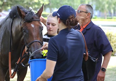 Compiegne 2026 07 10 B 9N1A7847 Yes Zara