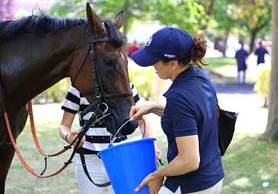 Compiegne 2026 07 10 B 9N1A7858 Yes Zara