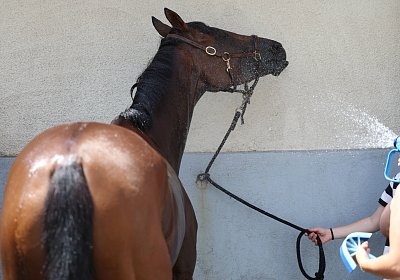 Compiegne 2026 07 10 C 9N1A7878 Yes Zara