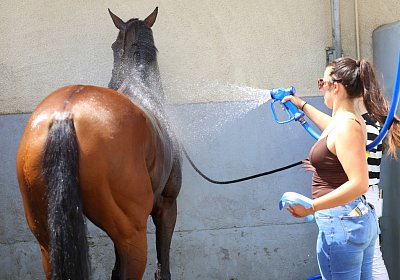 Compiegne 2026 07 10 C 9N1A7920 Yes Zara
