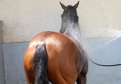 Compiegne 2026 07 10 C 9N1A7921 Yes Zara