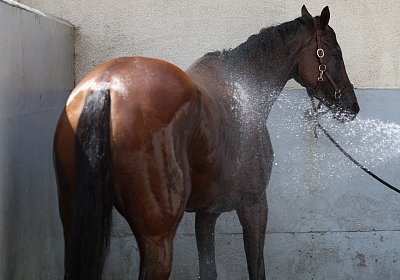 Compiegne 2026 07 10 C 9N1A7926 Yes Zara
