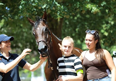 Compiegne 2026 07 10 C 9N1A8009 Yes Zara