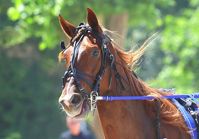 Gelsenkirchen 2026 07 12 9N1A8251 Miracle of Love
