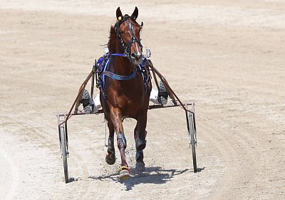 Gelsenkirchen 2026 07 12 9N1A8334 Miracle of Love