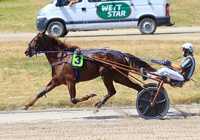 Gelsenkirchen 2026 07 12 9N1A8474 Miracle of Love