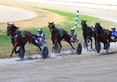 Gelsenkirchen 2026 07 12 9N1A8522 Miracle of Love