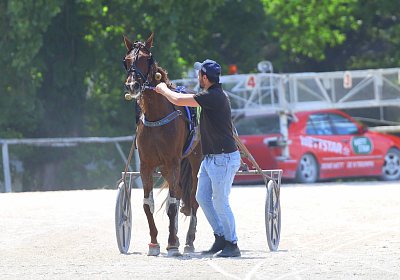 Gelsenkirchen 2026 07 12 9N1A8574 Miracle of Love