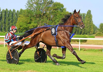 Avenches 2026 07 30 9N1A1490 Harper