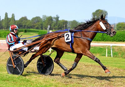 Avenches 2026 07 30 9N1A1886 Fanta
