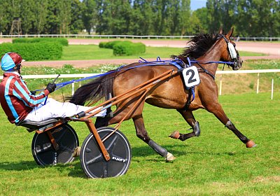 Avenches 2026 07 30 9N1A1902 Fanta