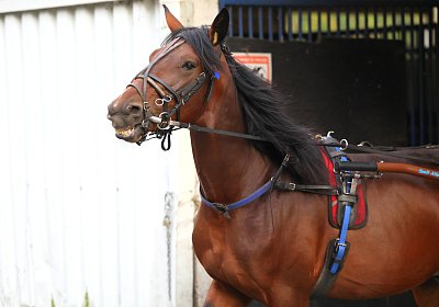 Peterhof 2026 07 31 9N1A2692 Its Showtime
