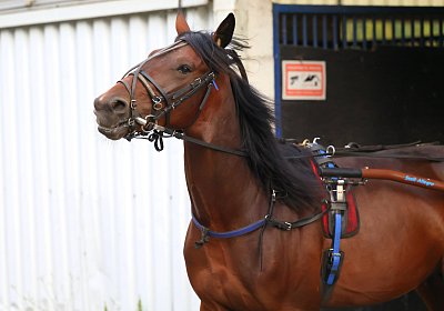 Peterhof 2026 07 31 9N1A2695 Its Showtime