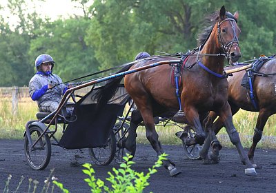 Peterhof 2026 07 31 9N1A2779 Its Showtime