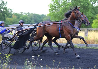 Peterhof 2026 07 31 9N1A2790 Its Showtime