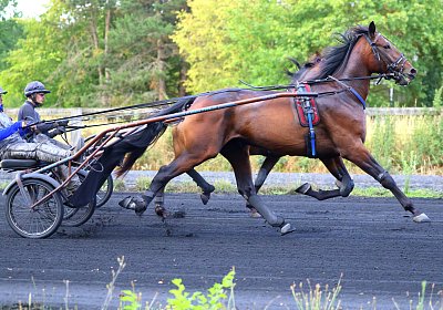 Peterhof 2026 07 31 9N1A2797 Its Showtime